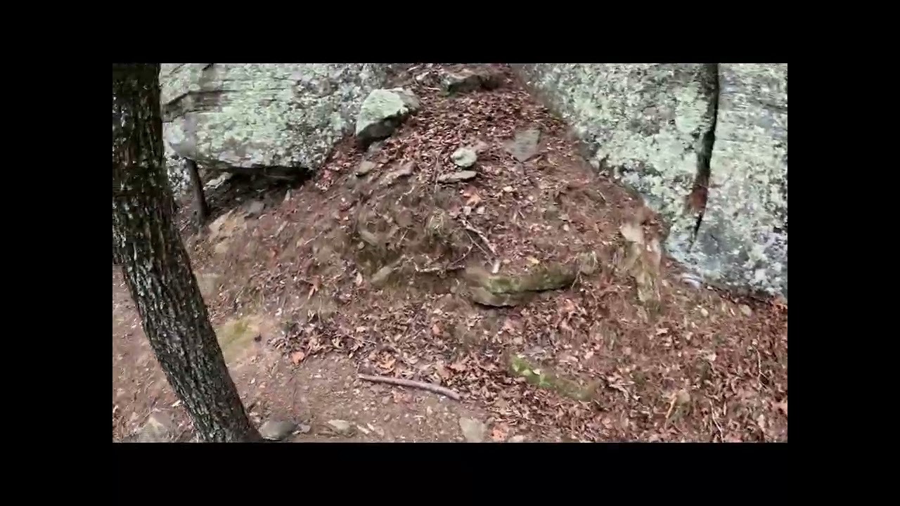 Bluffton Preserve was a Spectacular Surprise