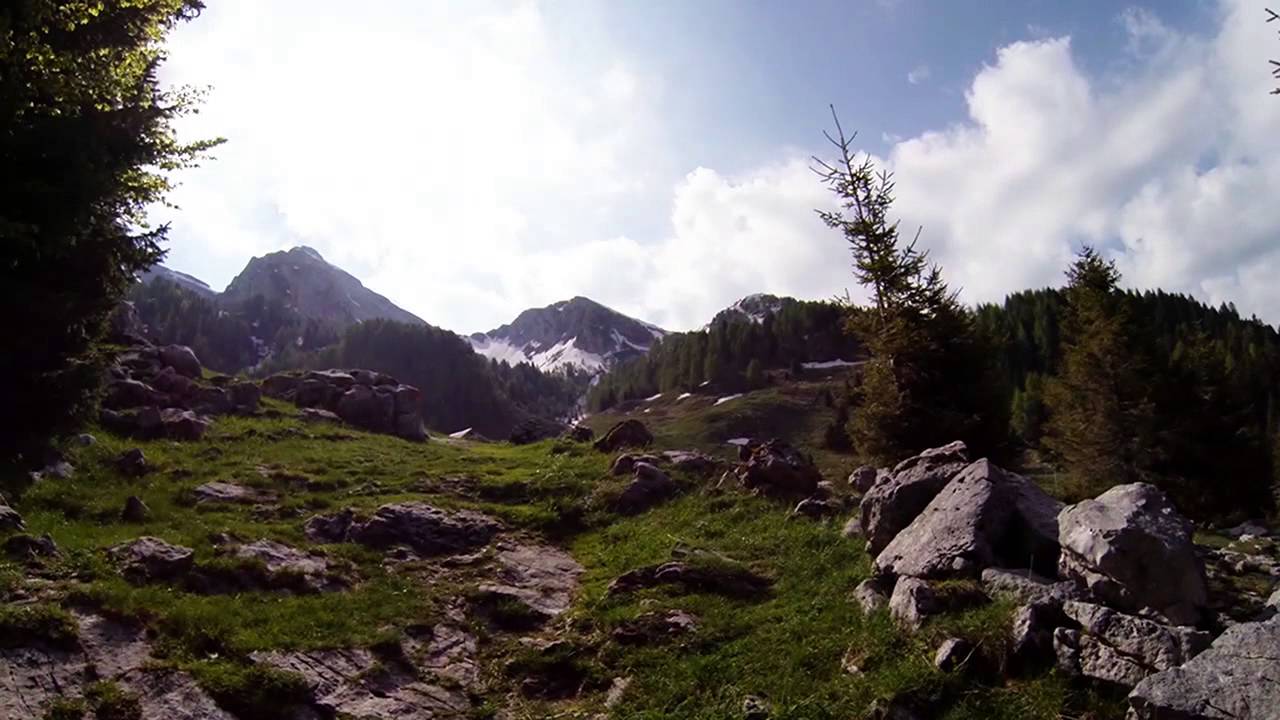 Cansiglio - Salita alla casera palantina verso il Cimon