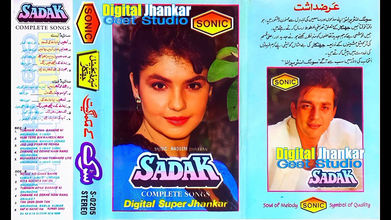 Jab Jab Pyar Pe | Sadak | Sonic Digital Super Jhankar | For Digital Jhankar Geet Studio 