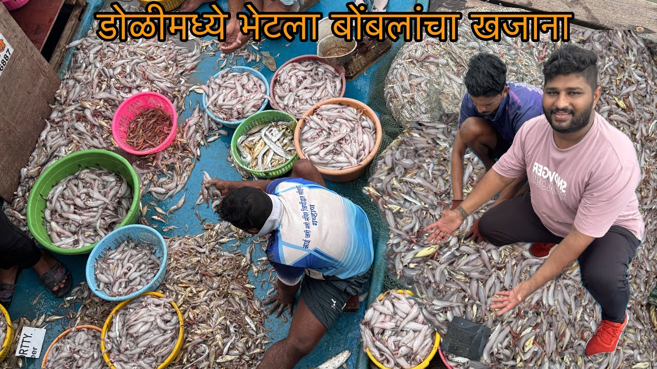 आज चार डोळीमध्ये भेटला बोंबलांचा खजाना | जिवंत बोंबील बघून मित्र झाले खुश😊🥰 |Bombay duck | fhishing 