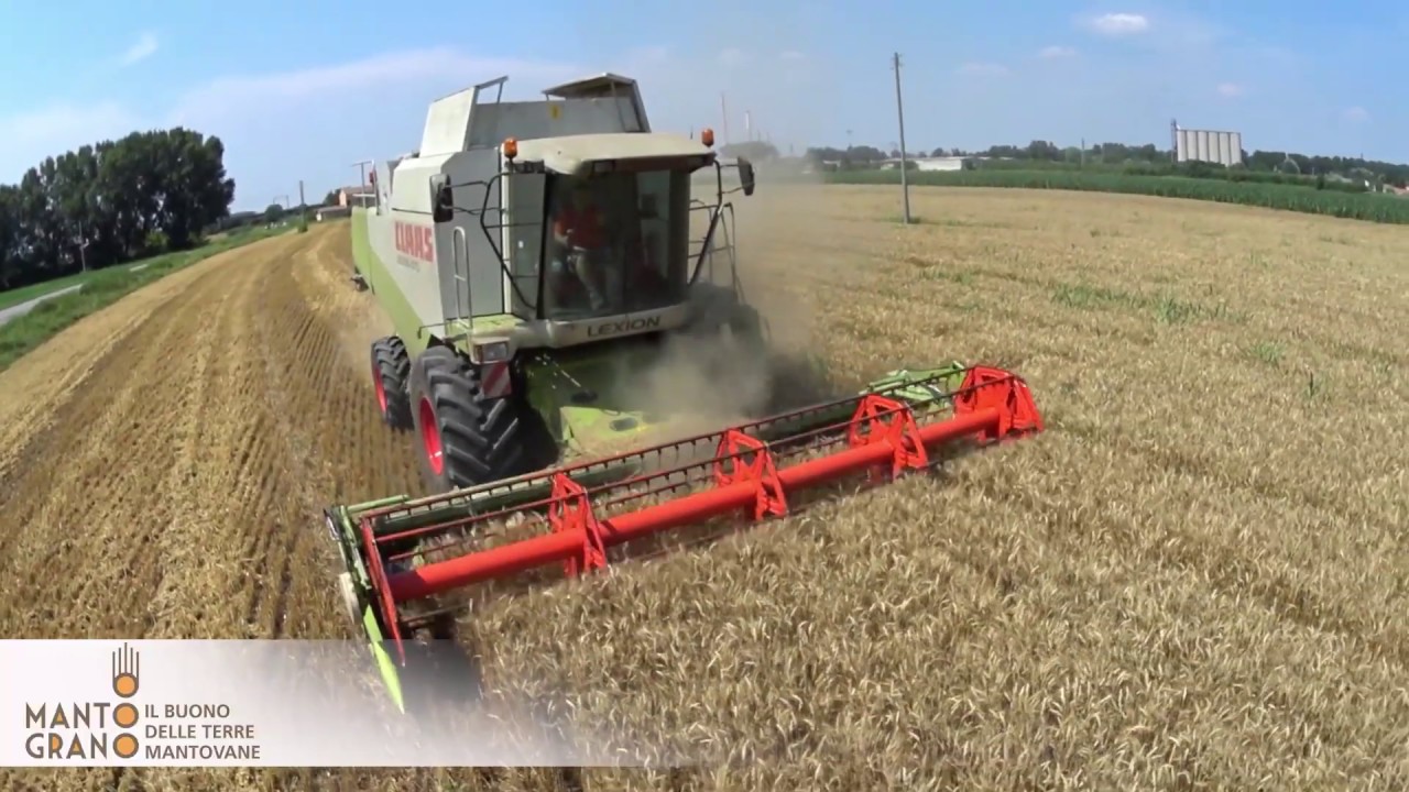 MantoGrano, dai campi alla tavola