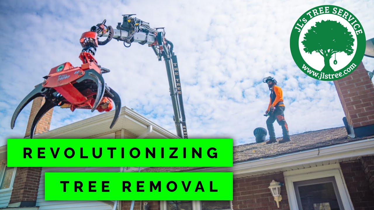 The way JL&rsquo;s removes trees! Low impact tree removal, remote control tree removal
