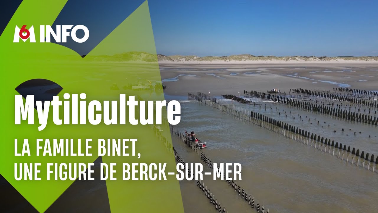 Dans les secrets de la mytiliculture &agrave; Berck-sur-Mer