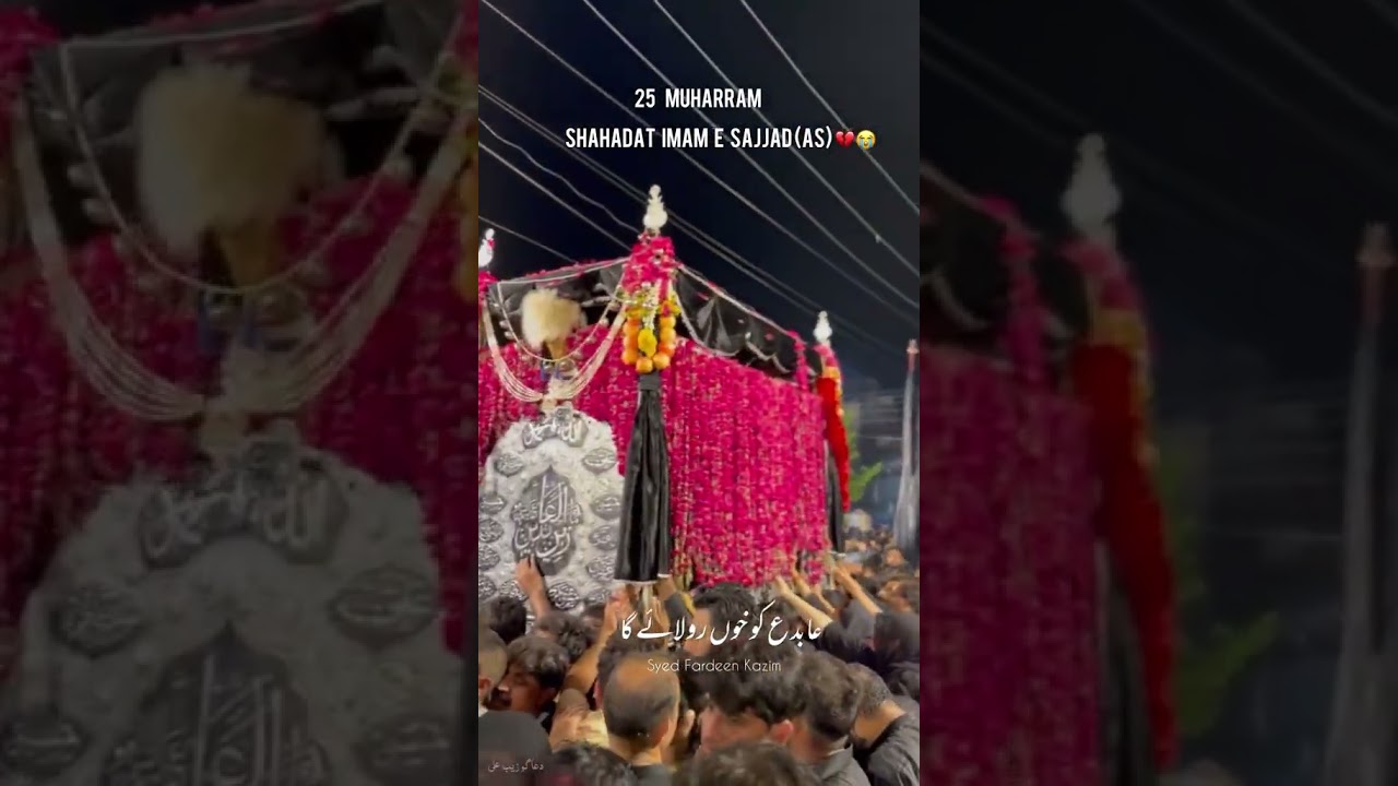 Emotional noha on Karbala | Heartfelt Tribute to Sacrifice and Pain #bibisakina #bibisakinanoha