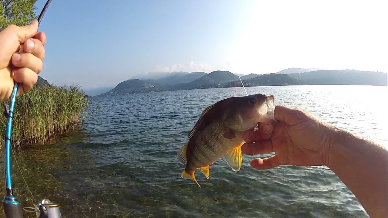 Persici sull'Orta da riva