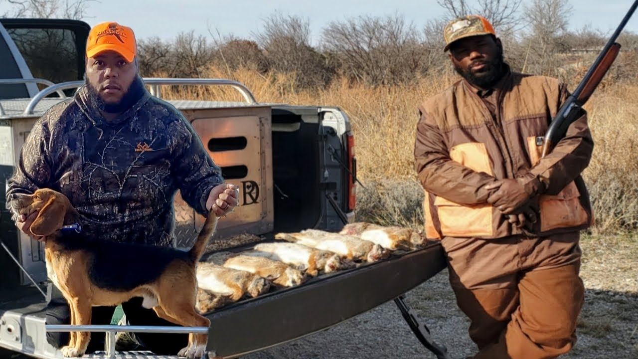 How To Rabbit Hunt With Beagles *Country Stuff*