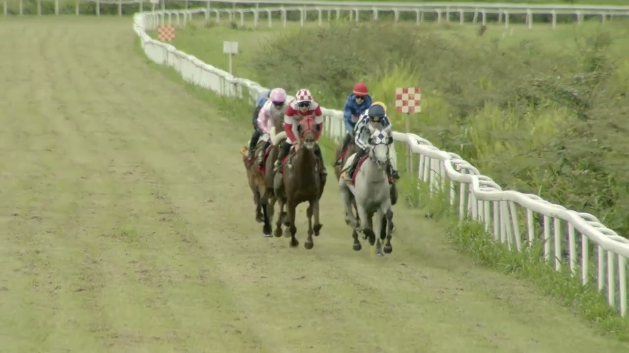 Course 5 PRIX DE L'ILET LA PERLE 08/02/26