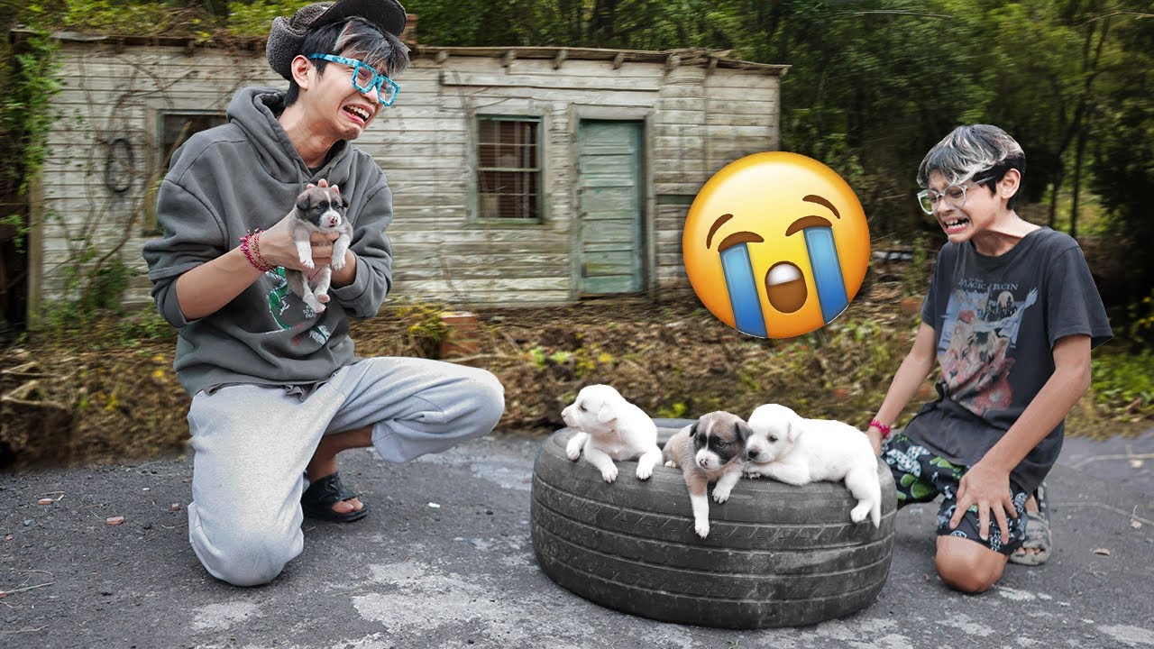 KASIHAN! ANAK ANJING LUCU DIBUANG DIJALAN SAMBIL MENANGIS LIHAT PEMILIKNYA KABUR!!!