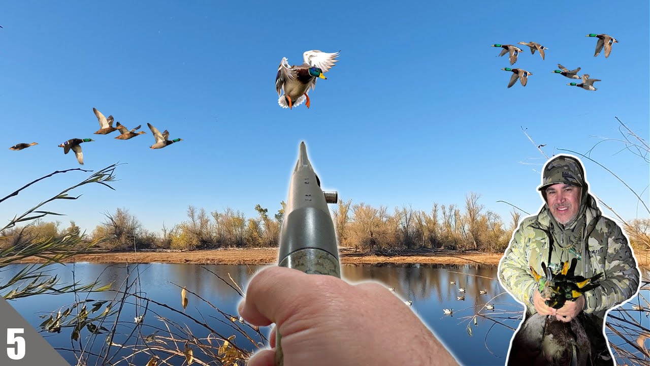 NO SCOUTING Limits In A SMALL Channel | Duck Hunting