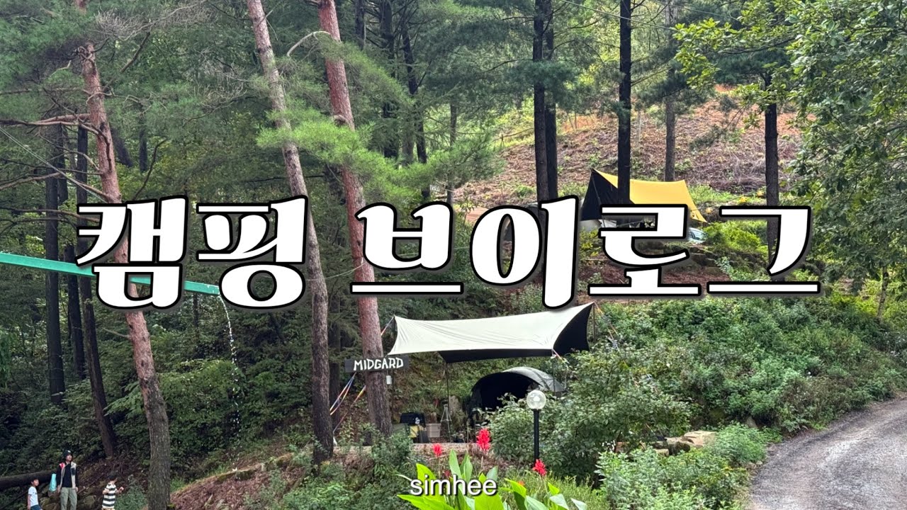 캠핑 브이로그｜횡성 노섬브리아 캠핑장 미드가르드｜사람 좋아 고양이들과 함께 행복한 캠핑｜처음 개시하는 헥사타프와 엘돔 조합｜숯불에 굽는 토마호크｜양파랑 버섯은 통으로 구으세요