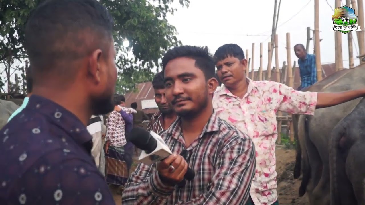 গাছবাড়ি মহিষের হাটের দরদাম জেনে নিন। সিলেটের সর্ব বৃহৎ মহিষের হাট।