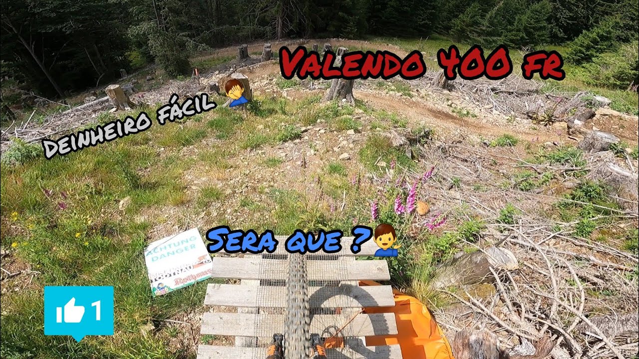 Bikepark Todtnau//Flwline+Wildride 🤪🇩🇪  🤦‍♂️wetten für 400 euro🤦‍♂️