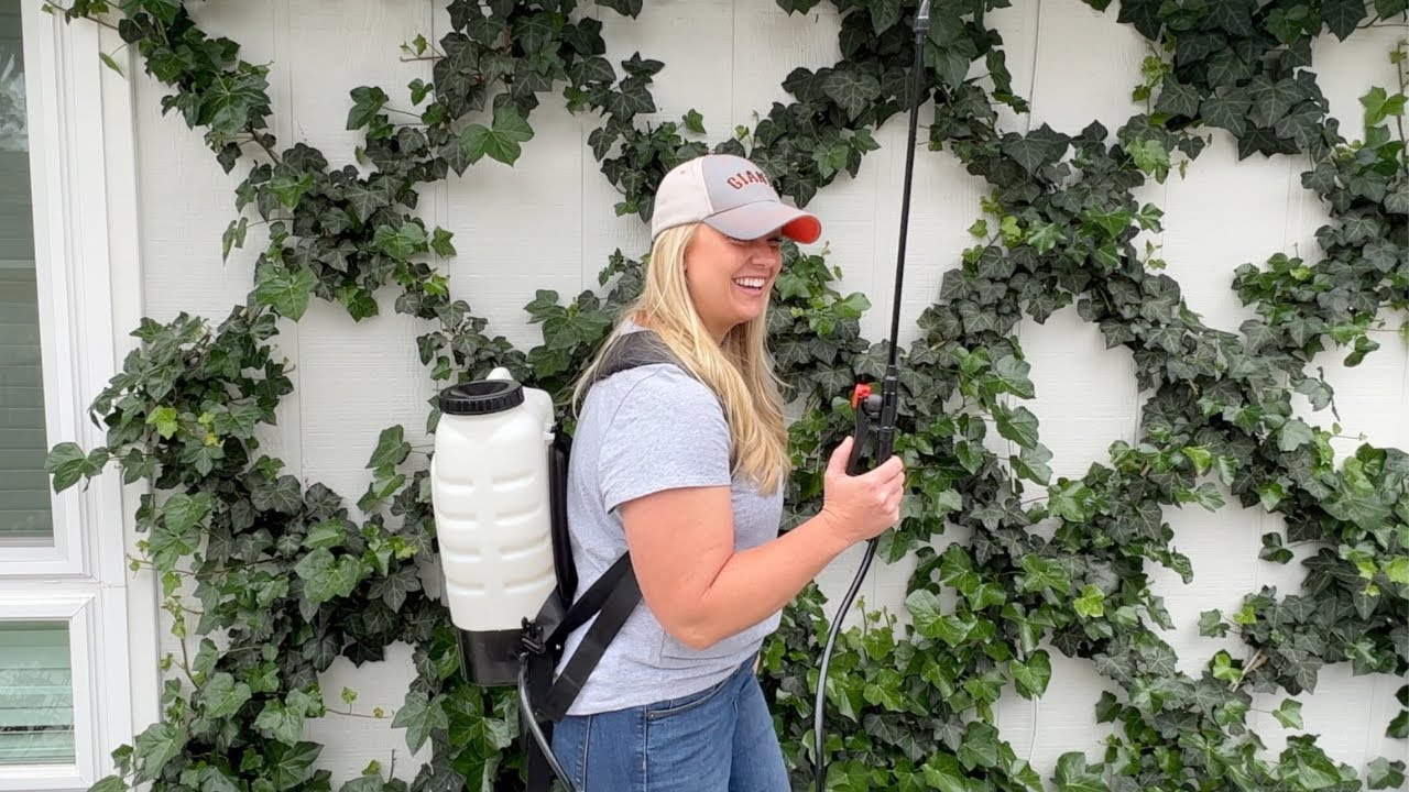How I Manage Budworms In My Garden! 😡🐛😡 ::  How to Use BT to STOP Budworm Damage!!