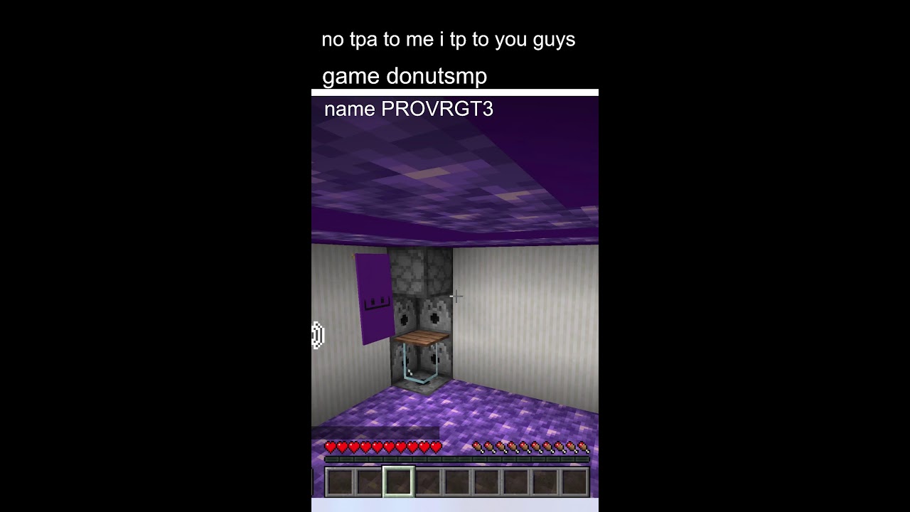 mincraft stream donut smp