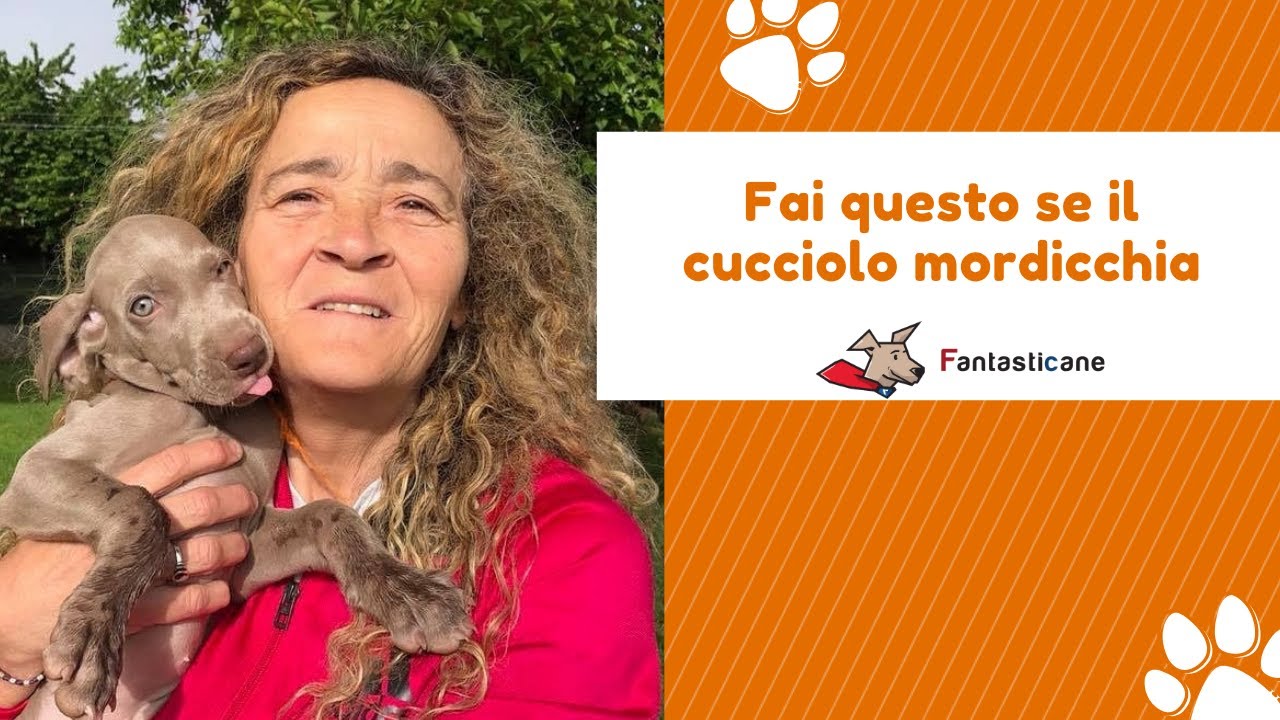 Fai QUESTO se il cucciolo mordicchia (Veloce ed Efficace)