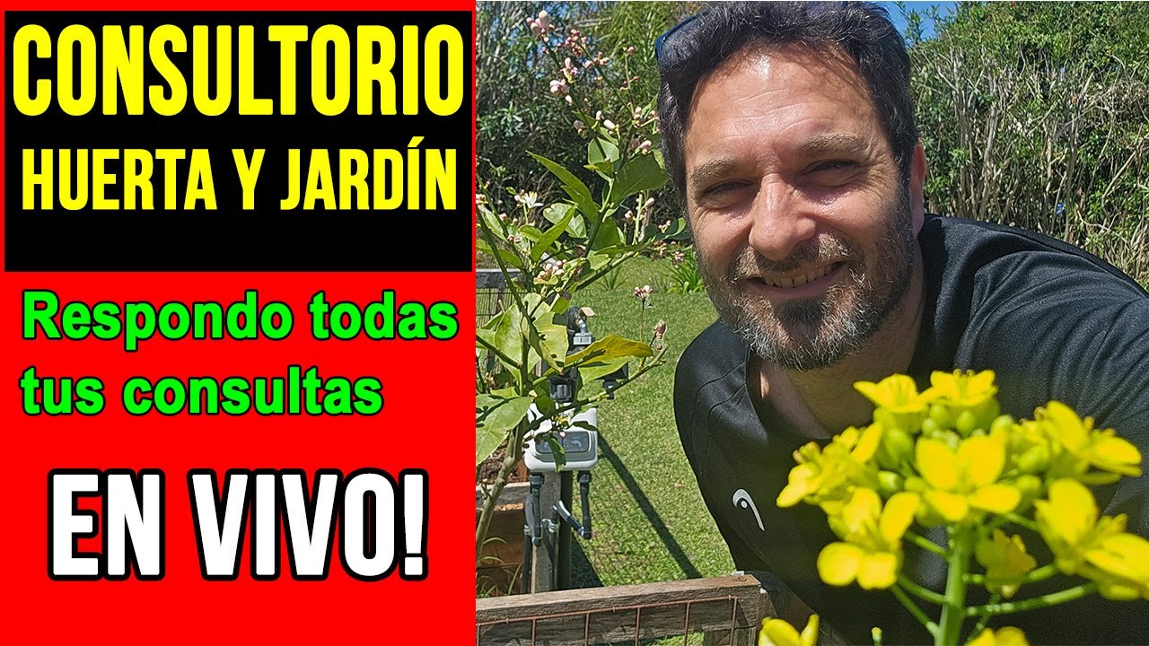 🌻 Preguntas de Huerta y Jard&iacute;n: Respuestas en Directo