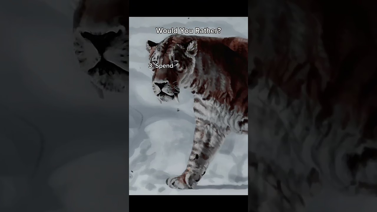 Where will you time travel to? 