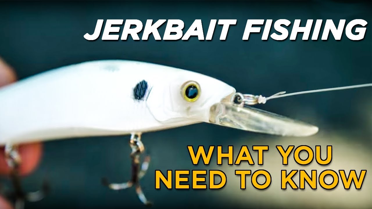 How To Catch More Fish On A Jerkbait W/ LakeForkGuy!