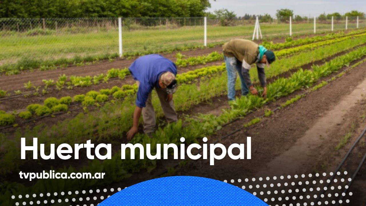 Huerta Municipal de Vedia - Mañanas Públicas