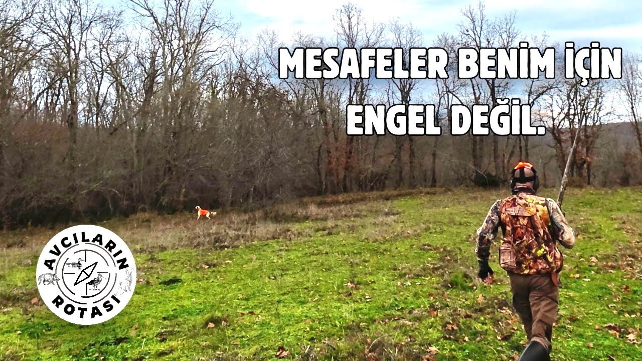 Çulluk Avı İğneada