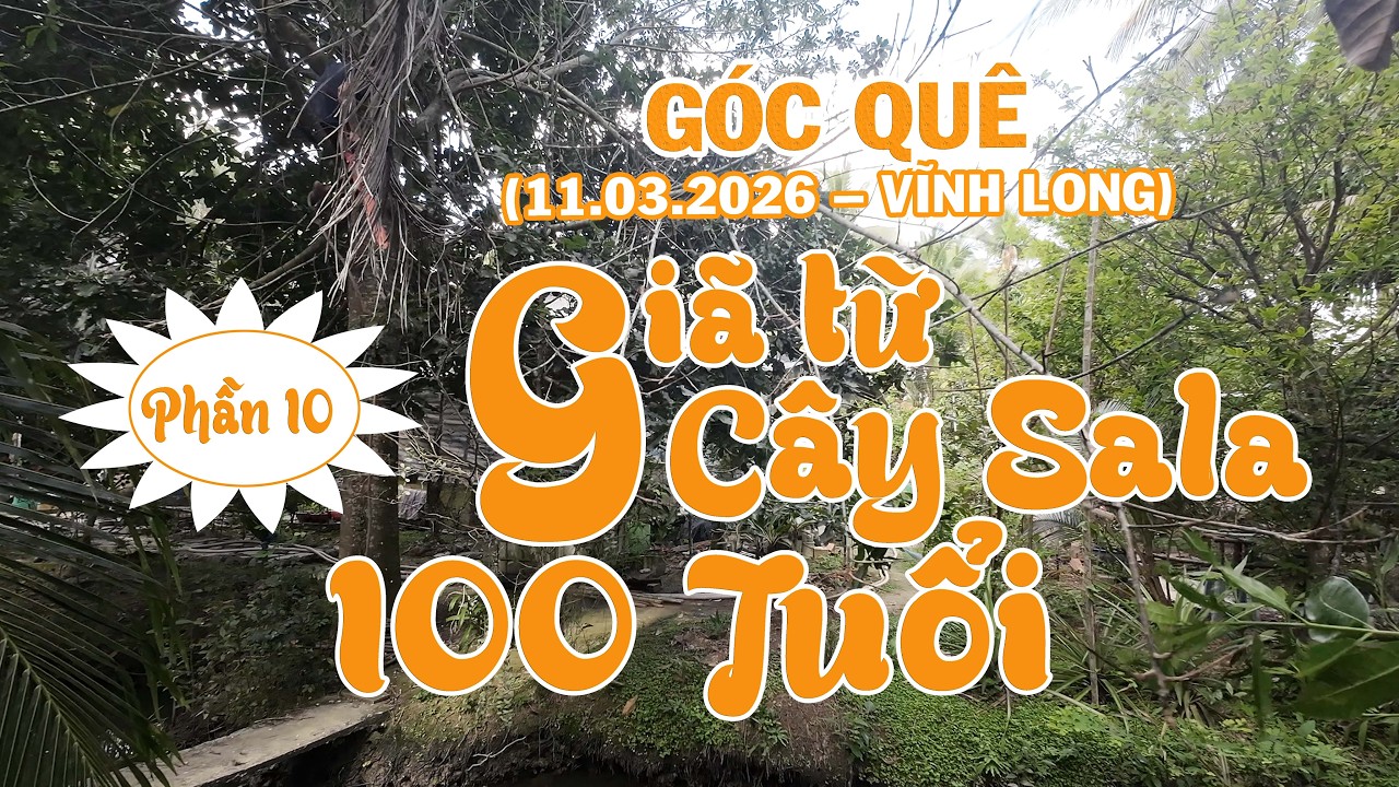 CÂY SALA TRĂM TUỔI - PHẦN 10