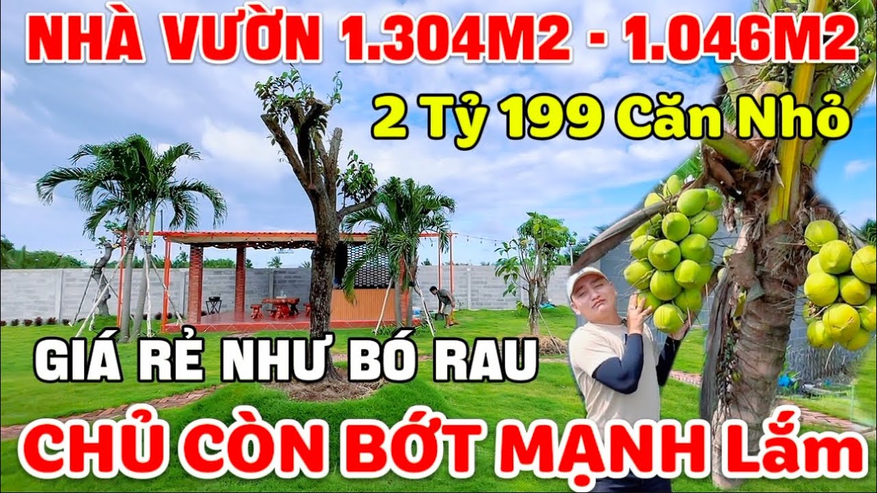 Tập 249 NHÀ VƯỜN GIÁ RẺ LONG AN Vỡ Nợ Bán Nhanh 1.304m2 Và 1.046m2 Được Giá Chủ Bán Nhanh Trước Tết✅