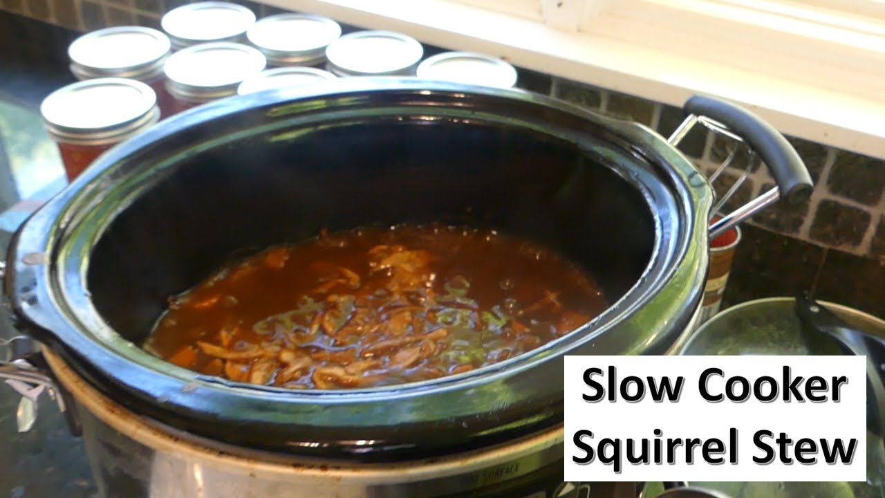 Easy Tender Slow Cooker Squirrel Stew