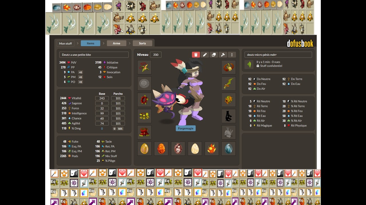 LA MEILLEURE CLASSE DU JEU -  DOFUS RETRO PVP