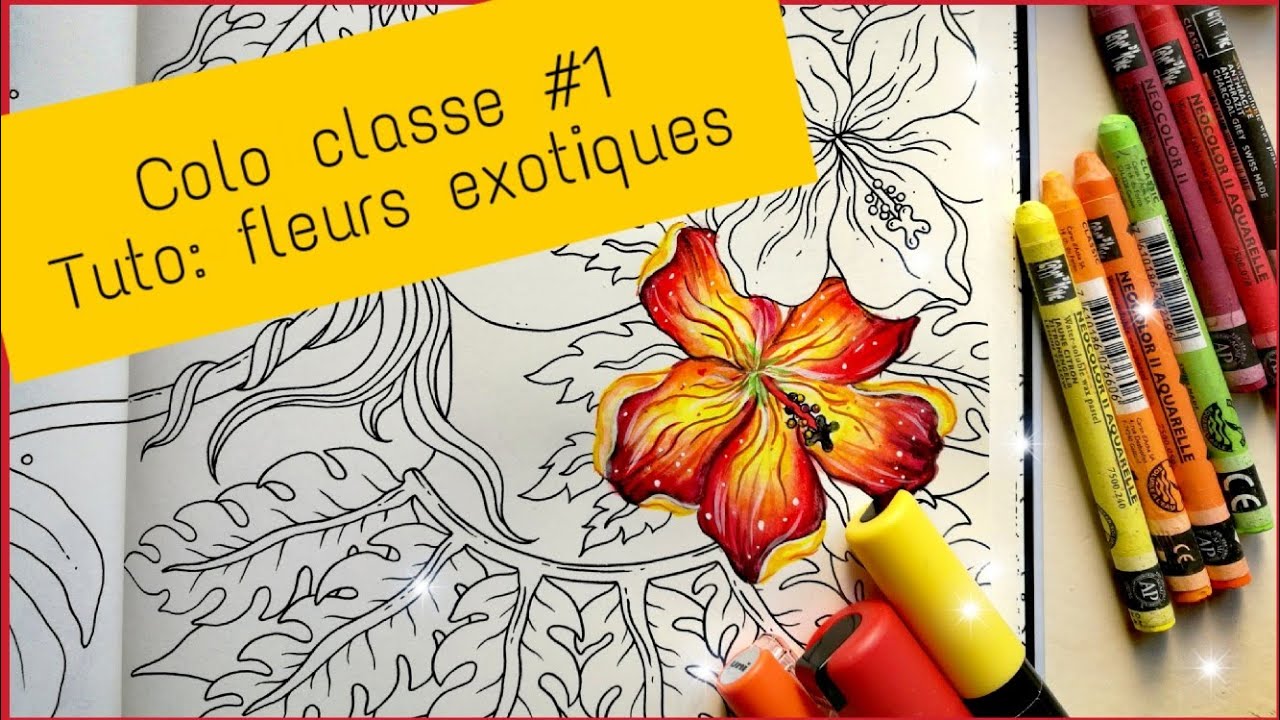 Colo classe #1: tutoriel fleurs néocolor 2 et posca