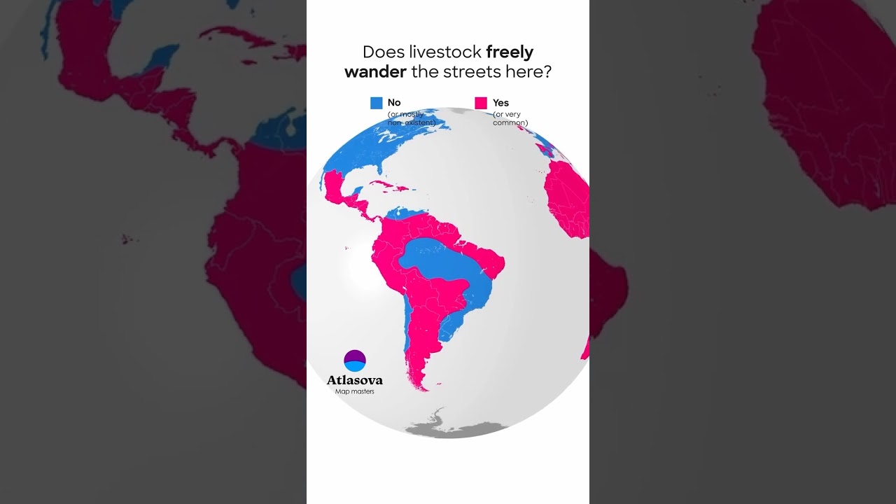 Free-Roaming Livestock: A Worldwide Exploration #shorts #map #livestock #geography