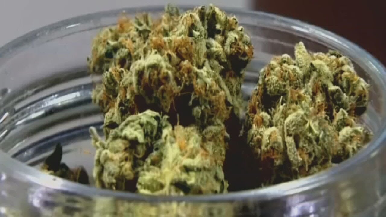 University of Kentucky researchers launched study examining cannabis effect with opioid withdrawal