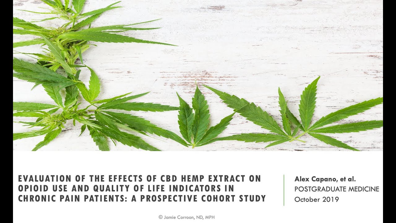 Can a CBD-rich hemp extract reduce pain and opioid usage?