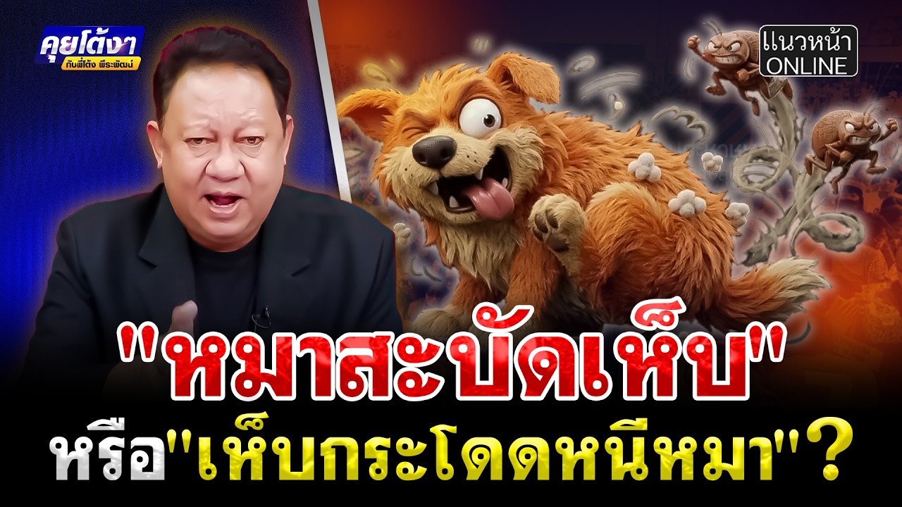 หมาสะบัดเห็บ หรือ เห็บกระโดดหนีหมา กันแน่!!