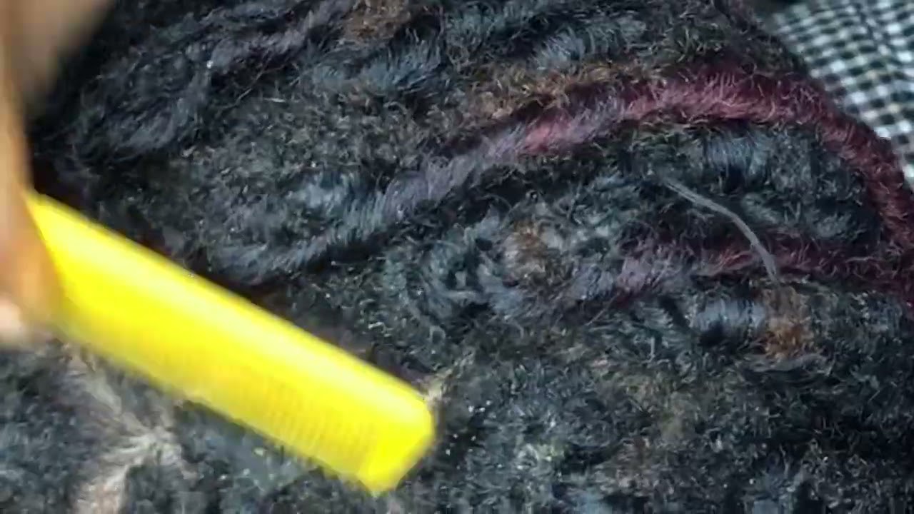 Asmr ~ The tingliest locs scalp scratch ~ Super relaxing and extremely satisfying 💤💤 #asmrrelaxing