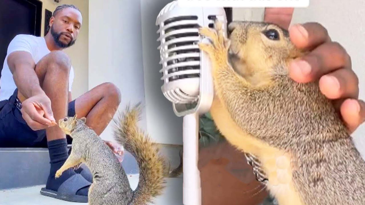 Unlikely Allies: LA Creator's Journey with Squirrels and Mental Health