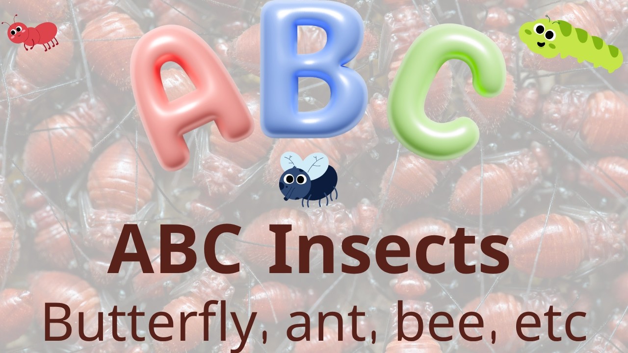 ABC Insects Song | A to Z Bug Names for Kids | Fun Nursery Rhyme | Kids ABC Park