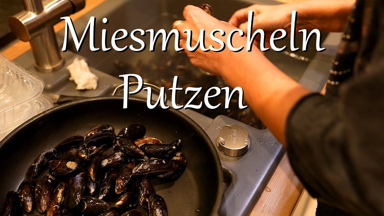 Miesmuscheln putzen | Wie erkenne ich eine frische Miesmuscheln |  Miesmuscheln richtig säubern