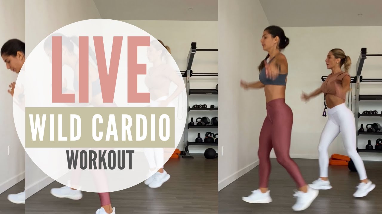 WILD CARDIO PART 4 | LIVE WORKOUT