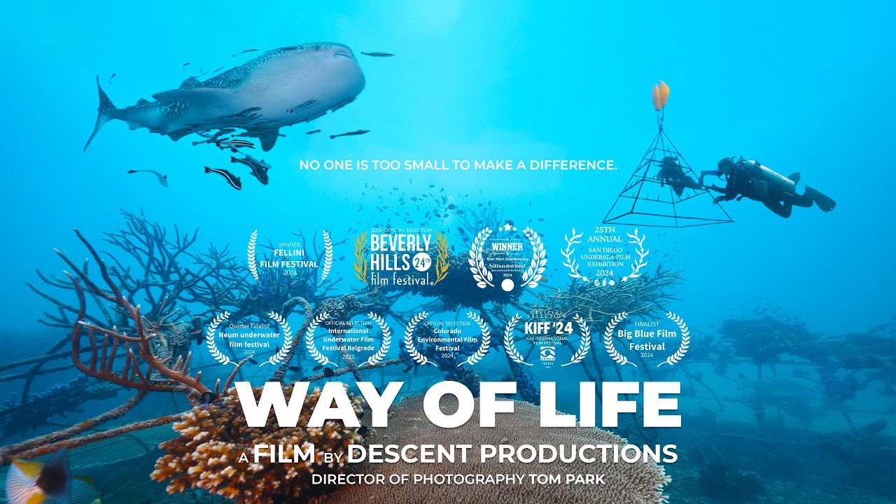 Way of Life | Ocean Conservation Short Film