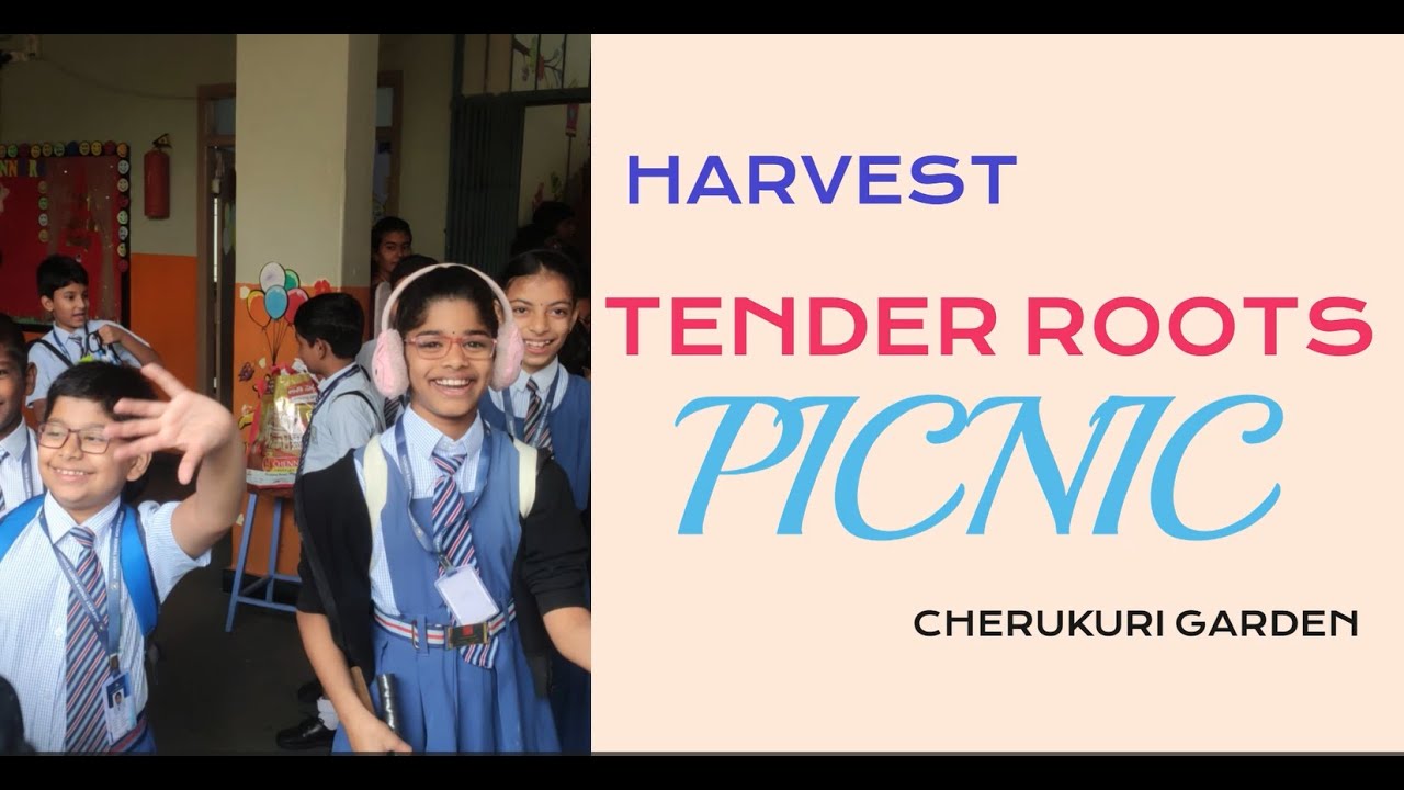 HARVEST TENDER ROOTS PICNIC