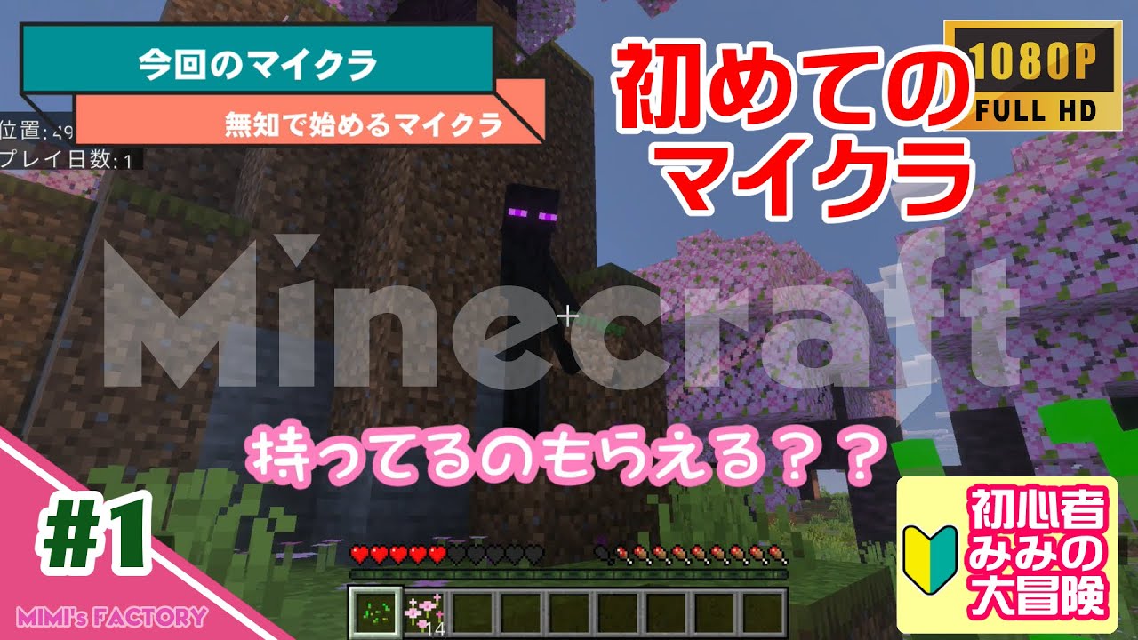#1 『無知で始めるマイクラ』（みみの大冒険）