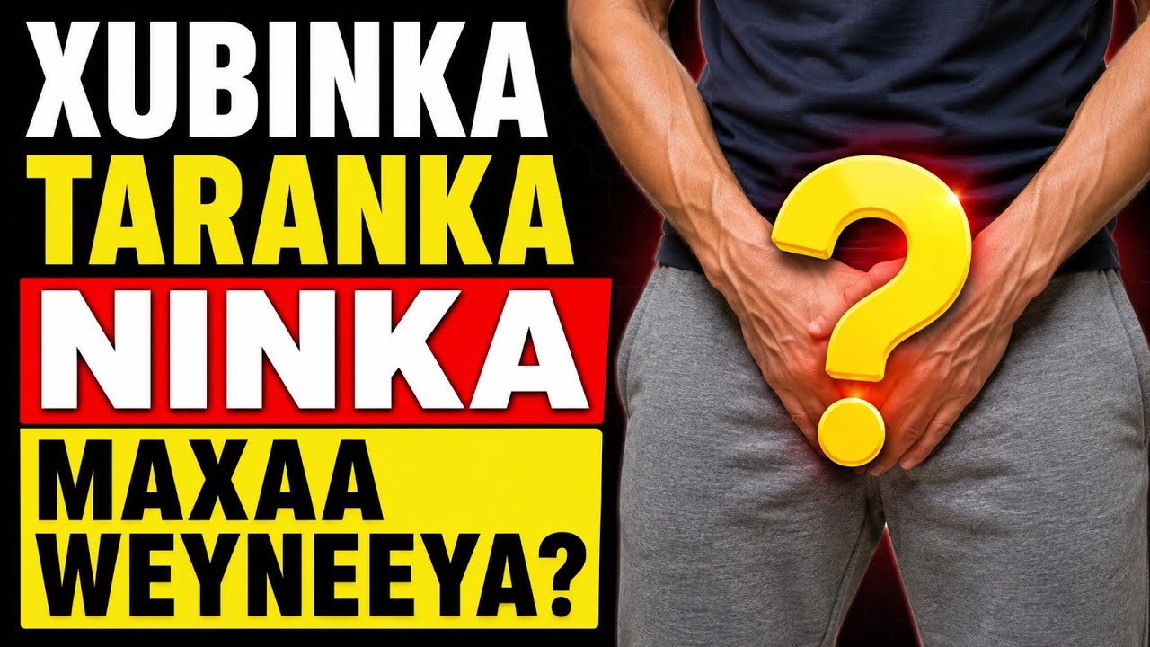 Xubinka Taranka Ninka Maxaa Weyneeya?