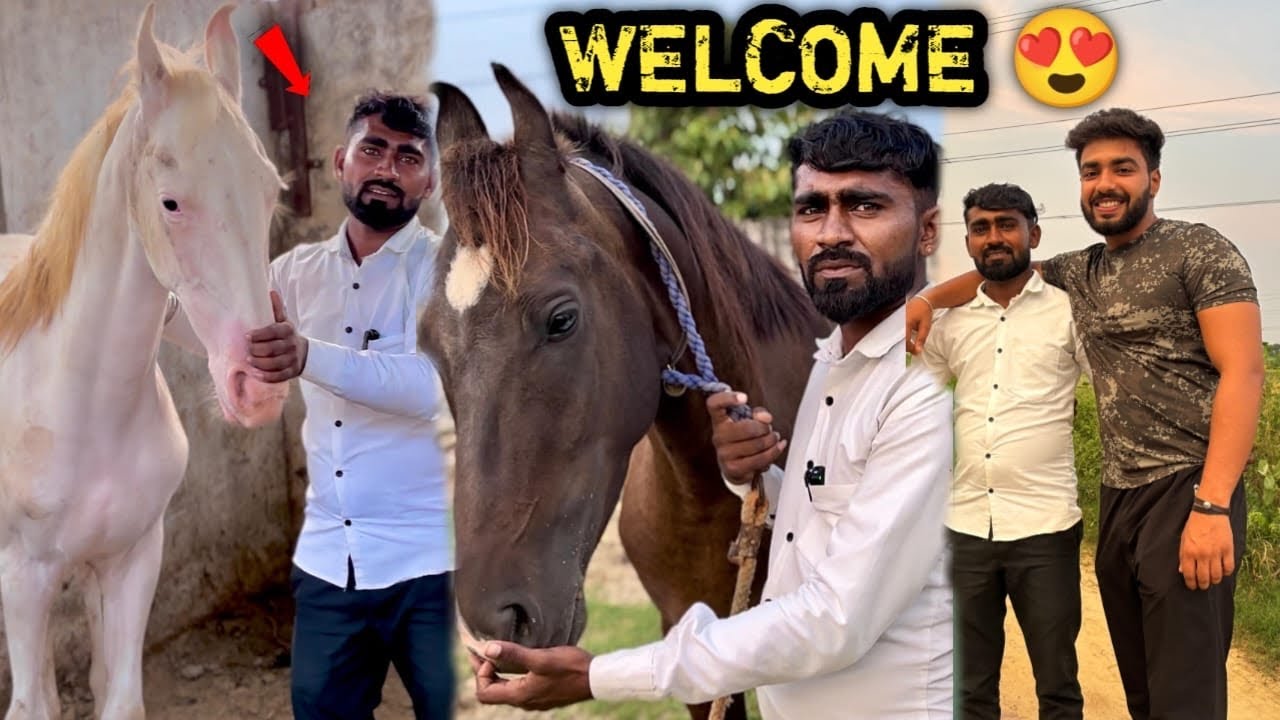GH0D0 KA D0ST VAPA$ AAGYA 😍SAB L0G0 KA FAVOURITE 🥳GUESS WHO IS BACK ? 