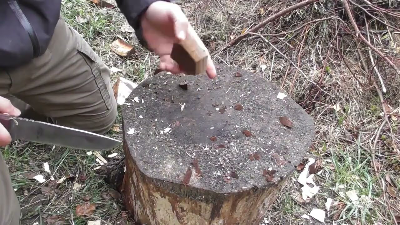Experiments with tinder fungus