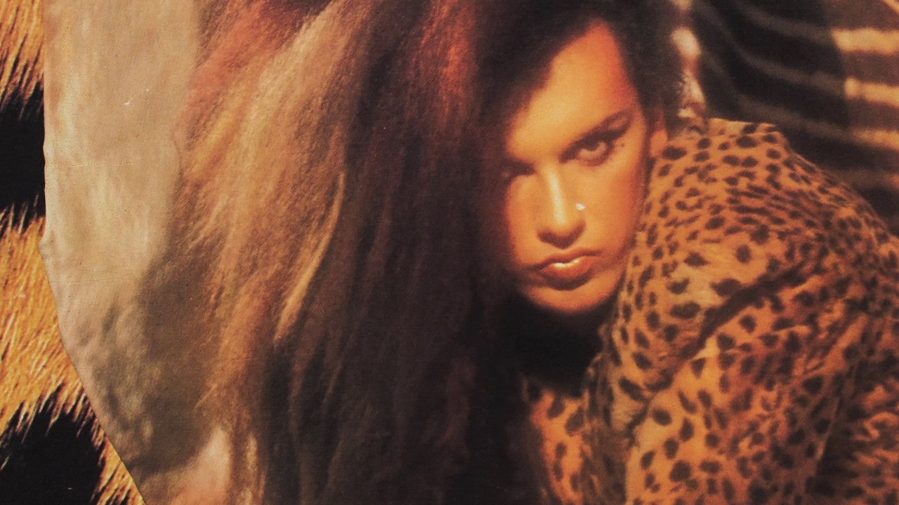 DEAD OR ALIVE - What I Want / Far Too Hard - 1984 Vinyl