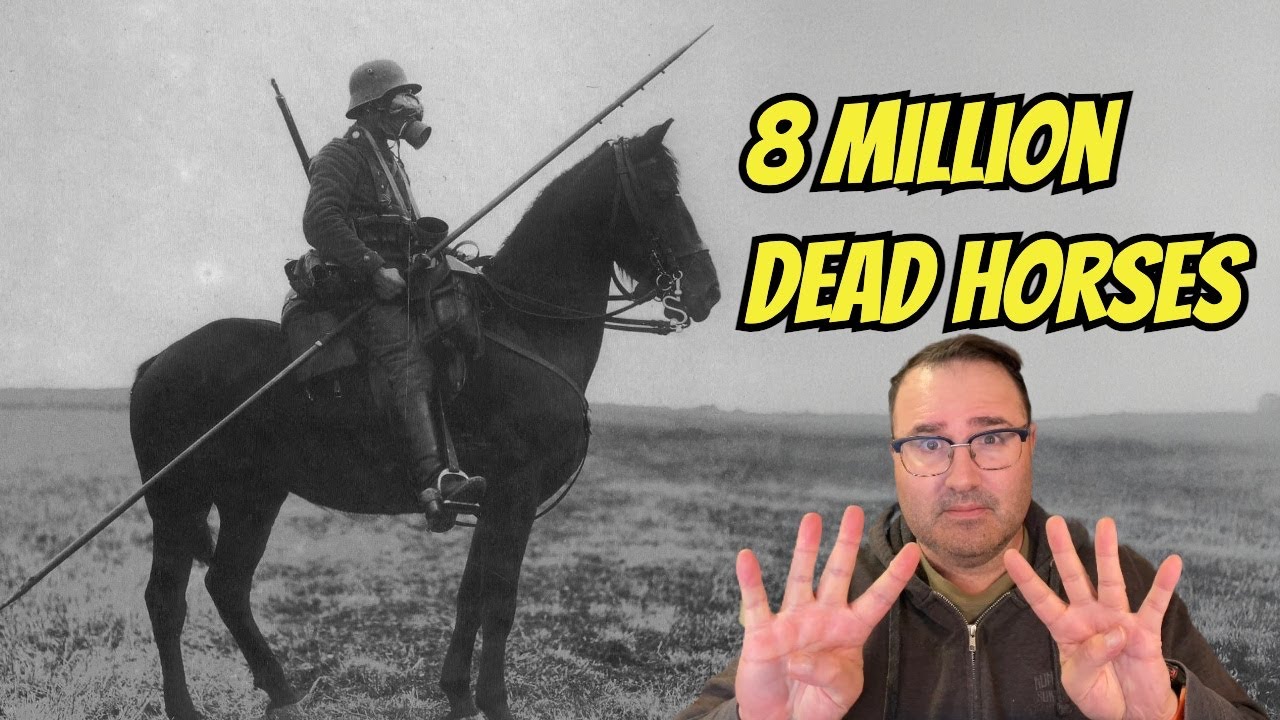 The Tragic Fate of Animals in War