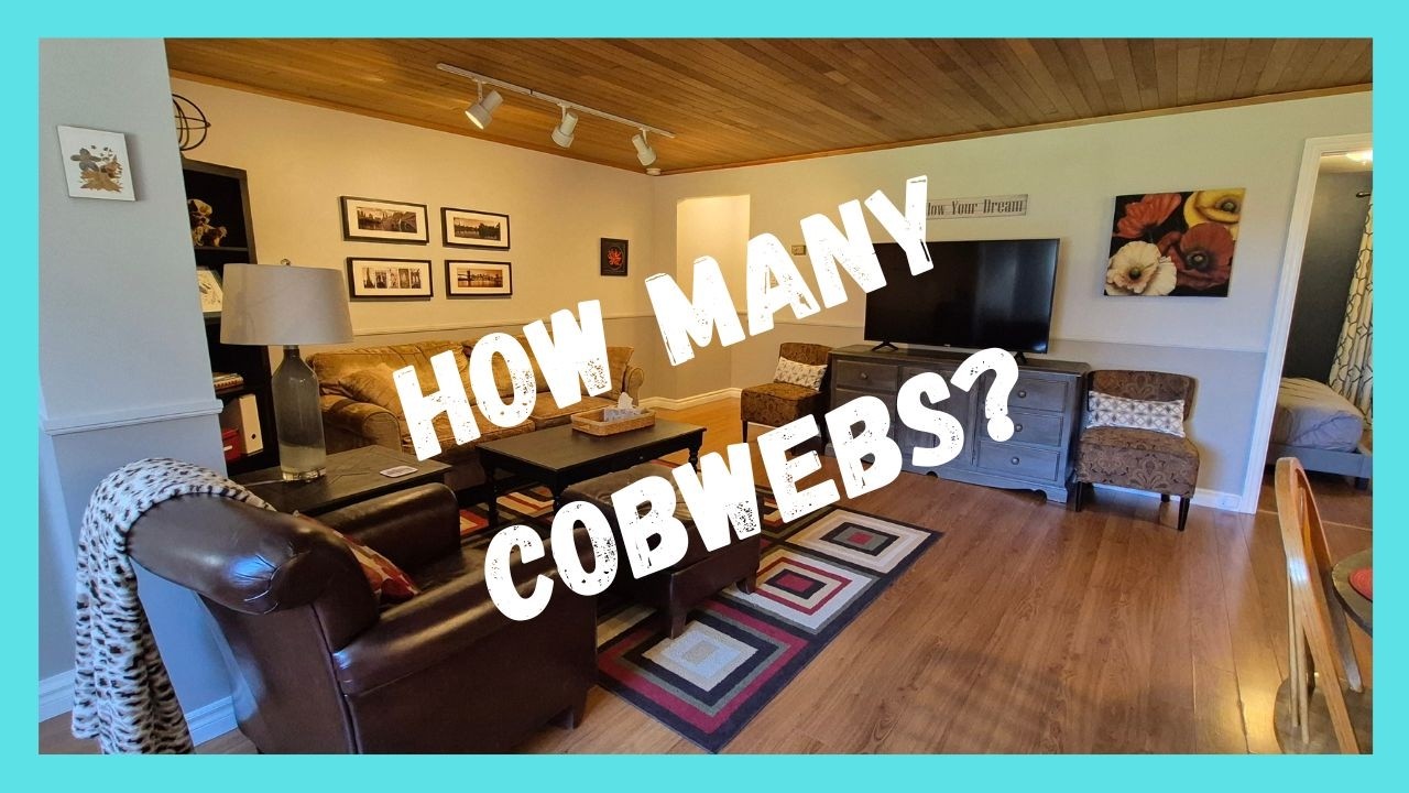 Spring/Deep Cleaning in the Fall Guest Suite #2