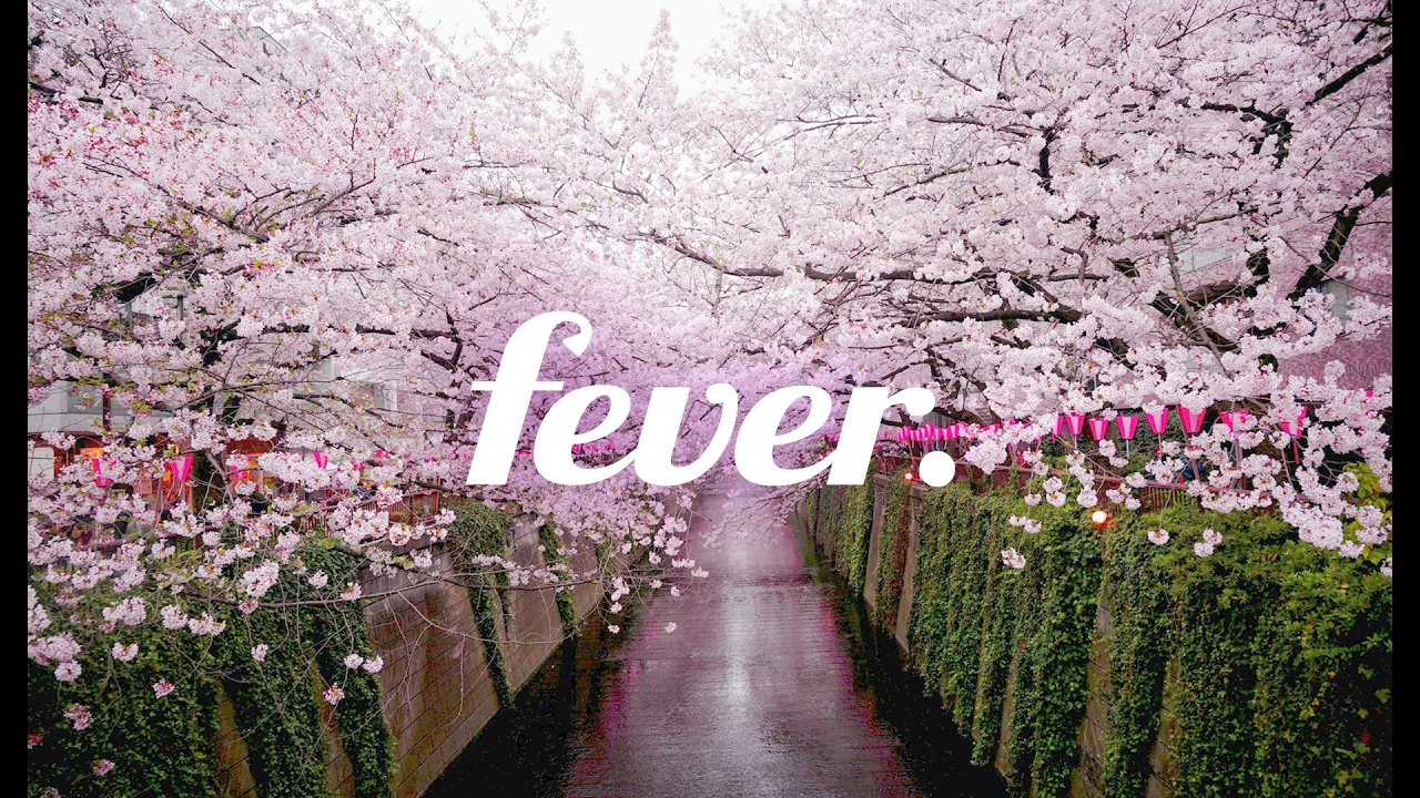 [Playlist] 벚꽃이 다 떨어져도 너랑 들을 노래 🌸따뜻한 봄 캐롤 플레이리스트 (악뮤, 도경수, 아이유)