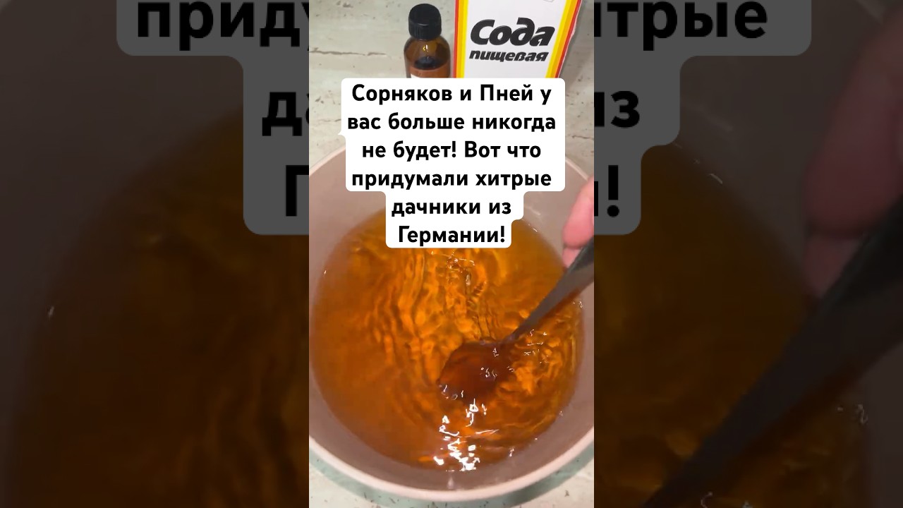 Сорняков и Пней у вас больше никогда не будет! Вот что придумали хитрые дачники из Германии! #огород