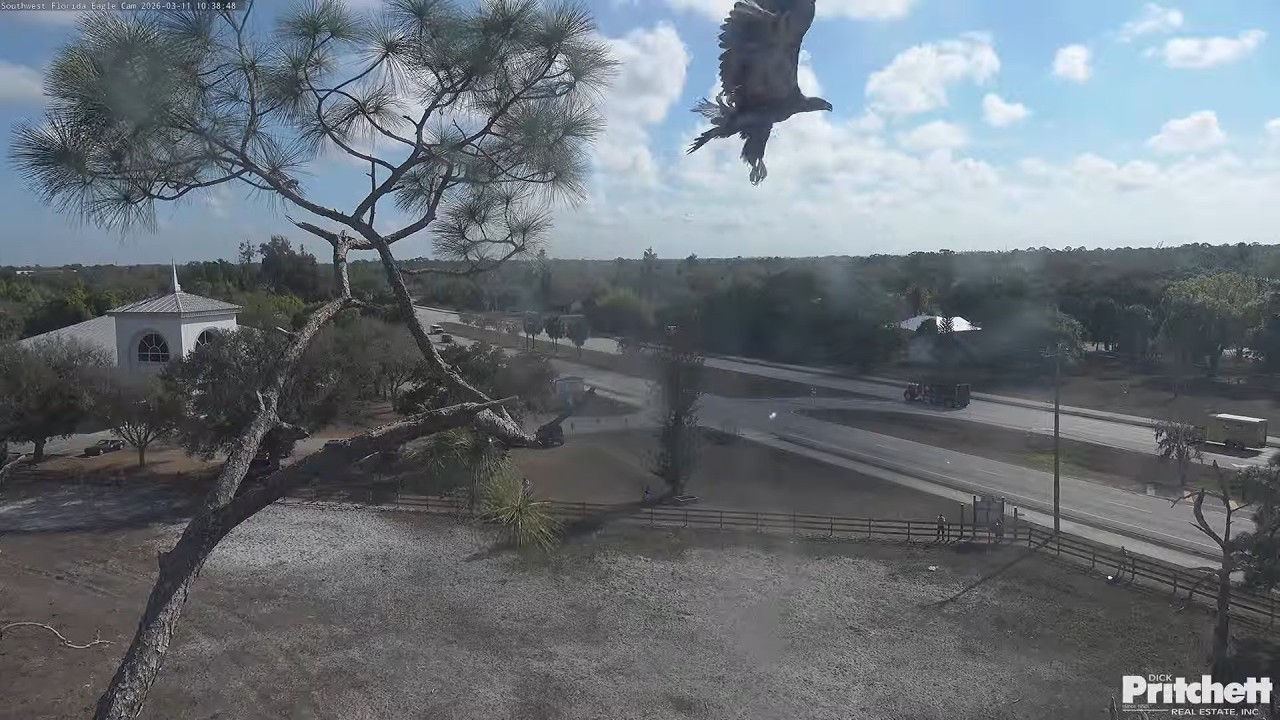 SWFL.The morning of March 11th and the E26 new flights have begun! 🤩/10:34/ 2026-03-11